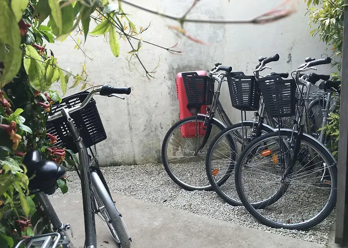 Accostage De La Concurrence 2* La Rochelle (Charente-Maritime)