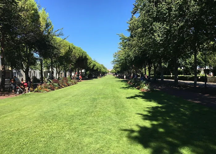 Accostage De La Concurrence Hotel