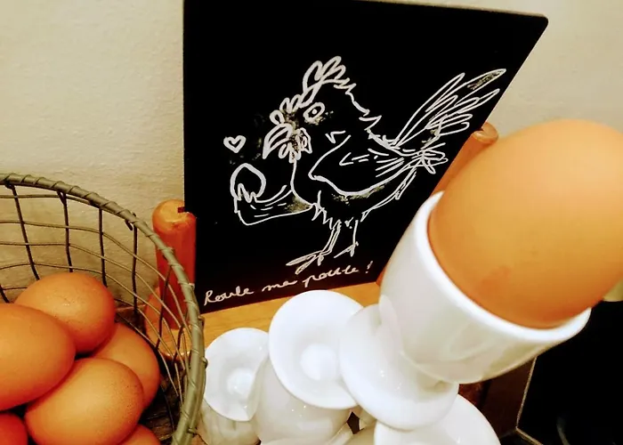 Accostage De La Concurrence Hotel La Rochelle (Charente-Maritime)