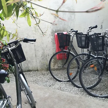 Accostage De La Concurrence 2* La Rochelle (Charente-Maritime)