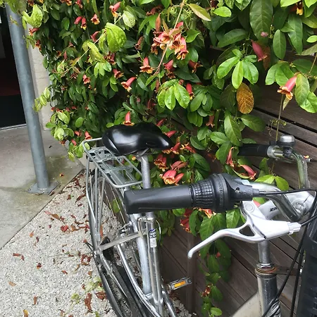 Hotel Accostage De La Concurrence 2*