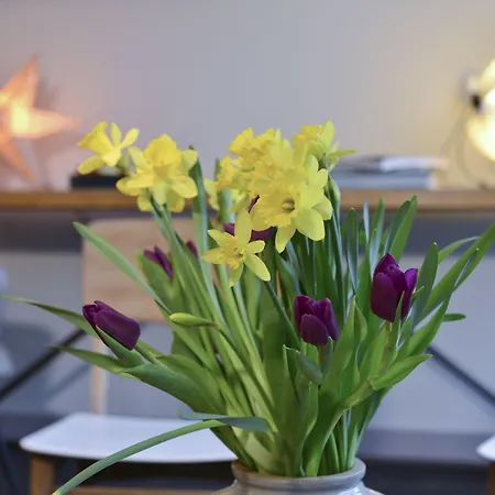 Accostage De La Concurrence Hotel 2*