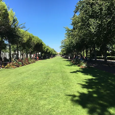 Accostage De La Concurrence Hotel